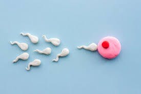 How to increase sperm thickness in both Men and Women